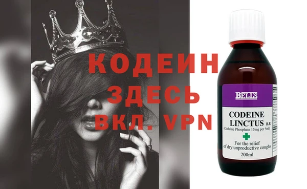 спиды Вяземский