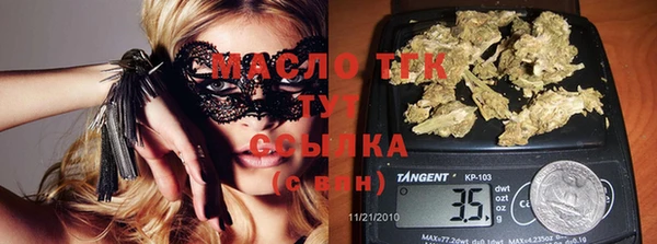 спиды Вяземский