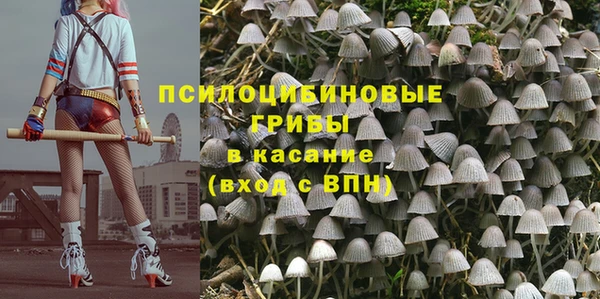 ешки Вязьма