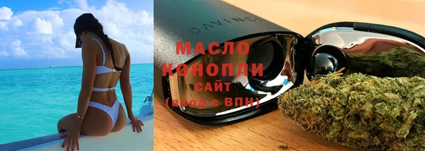 спиды Вяземский