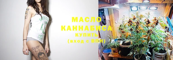 спиды Вяземский