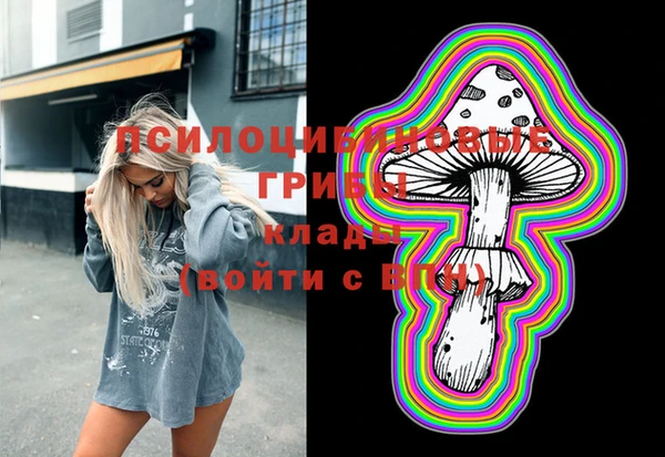 ешки Вязьма