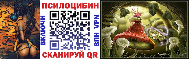 цены наркотик  Звенигово  blacksprut ссылки  Псилоцибиновые грибы GOLDEN TEACHER 